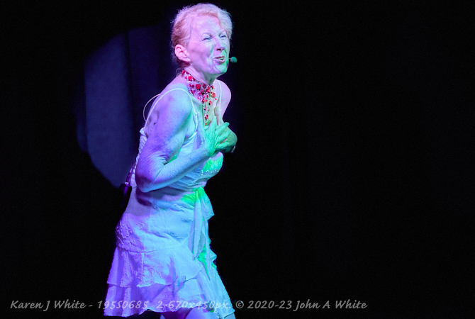Karen J White -  Perth Fringe 2020, Image