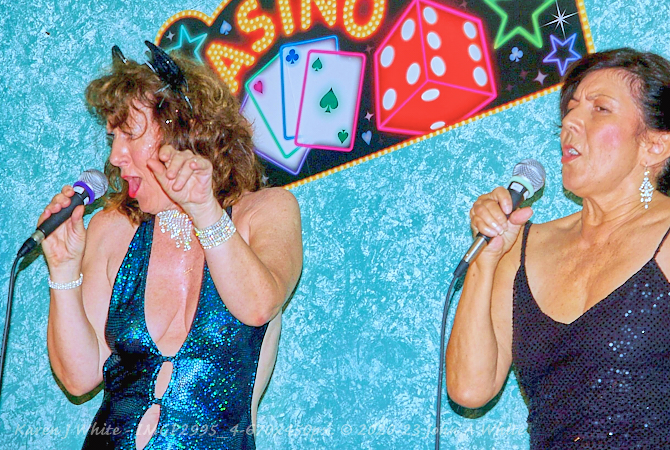 Karen J White - private party Image