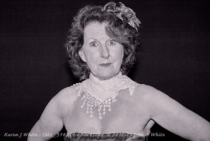 Karen J White Image