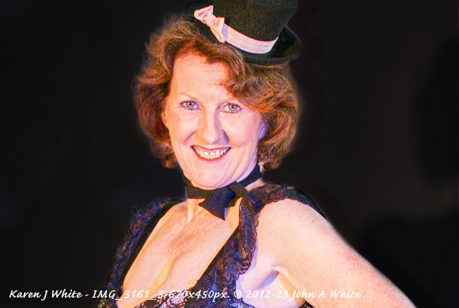 Karen J White Image
