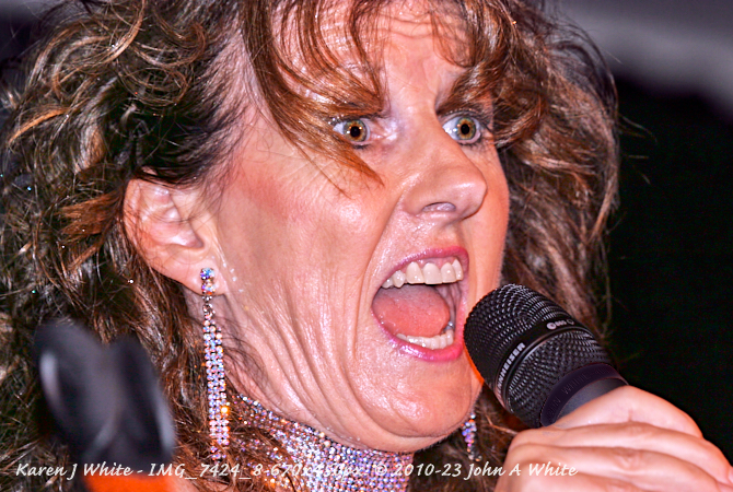 Karen J White Image