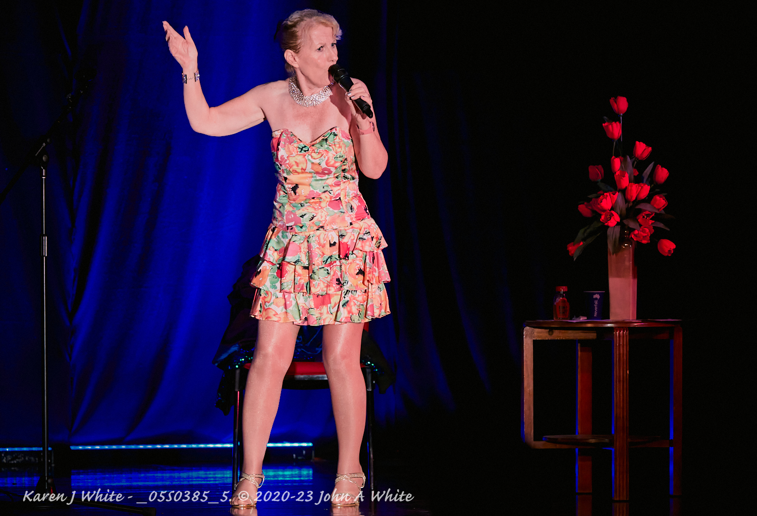 Karen J White - Adelaide Fringe 2020