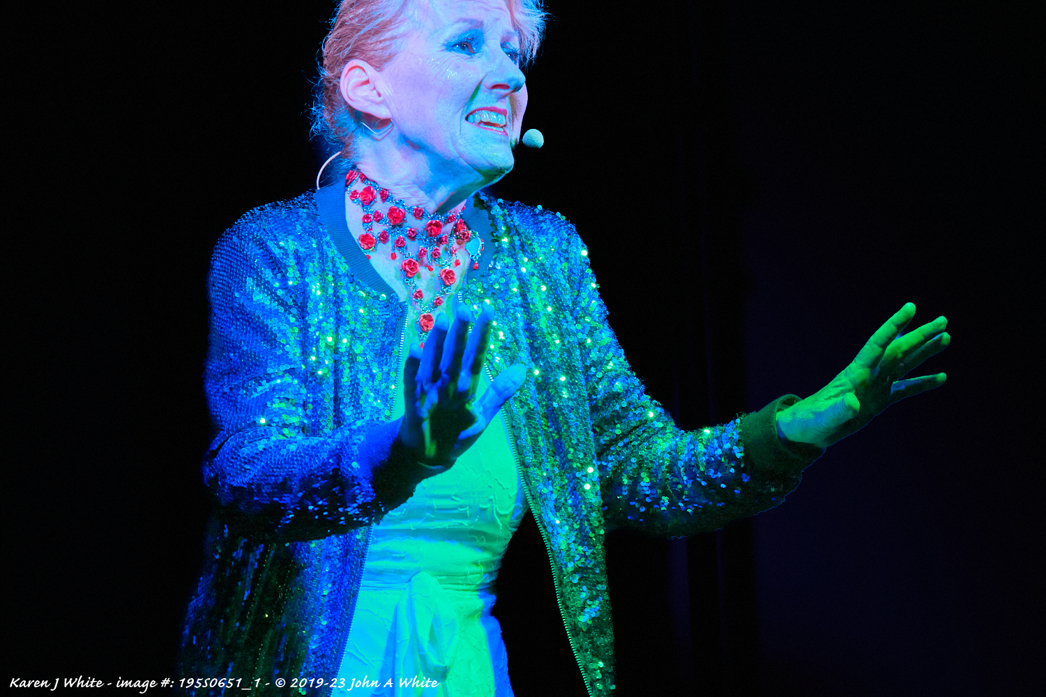 Karen J White - performing on stage